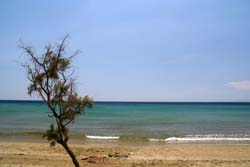Tinos beaches Tinos beaches