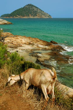 Thassos beaches