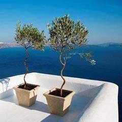 Accommodation in Greece