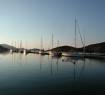 TRIZONIA ISLANDS